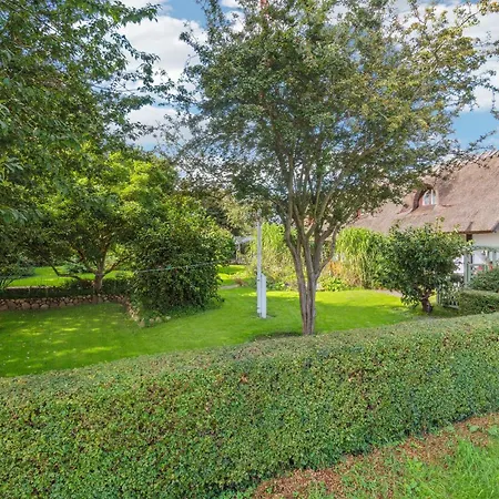 In With Wifi * Neksø